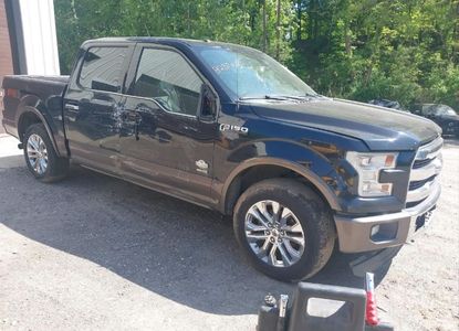 Raport pojazdu dla VIN 1FTEW1EG2GFD14000 - Obraz 1