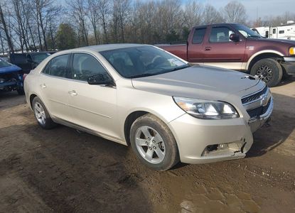 Vehicle Report for - Image 1
