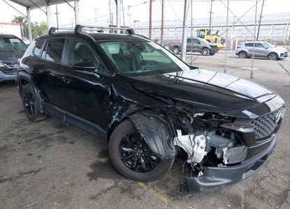 Raport pojazdu dla VIN 7MMVABDM2SN316498 - Obraz 1