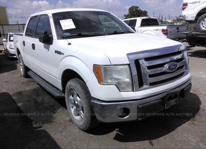 Vehicle Report for - Image 1