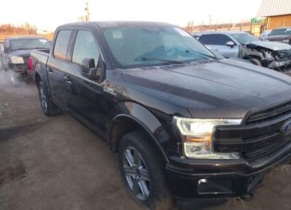 Vehicle Report for VIN 1FTEW1EP5KFC44176 - Image 1