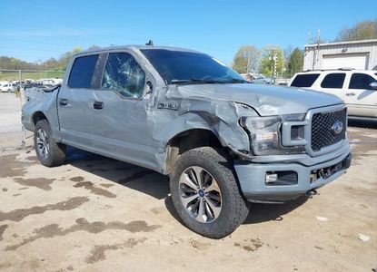 Raport pojazdu dla VIN 1FTEW1EPXLKF35166 - Obraz 1