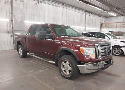 Vehicle Report for - Image 1