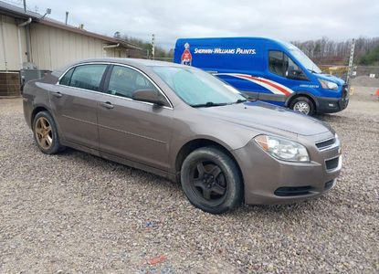 Vehicle Report for VIN 1G1ZB5E19BF154537 - Image 1