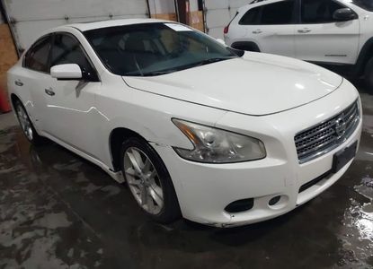 Raport pojazdu dla VIN 1N4AA5AP1BC832495 - Obraz 1