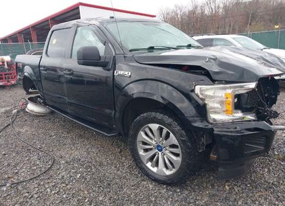 Vehicle Report for VIN 1FTEW1EP1JFE64199 - Image 1