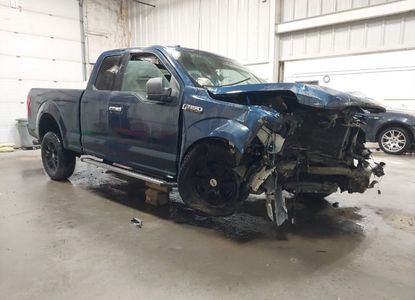 Raport pojazdu dla VIN 1FTFX1EF7GFA15028 - Obraz 1