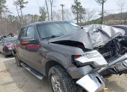 Raport pojazdu dla VIN 1FTFW1EFXEFC17412 - Obraz 1