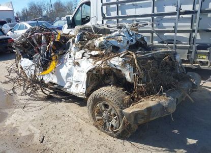 Vehicle Report for VIN 1C4BJWDG8HL560701 - Image 1