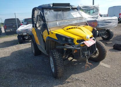 Vehicle Report for VIN 3JBKKCN16BJ000126 - Image 1