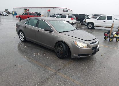 Vehicle Report for - Image 1