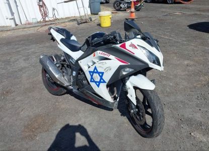 Raport pojazdu dla VIN JKAEX8A17EA008356 - Obraz 1