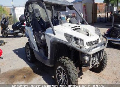 Raport pojazdu dla VIN 3JBKVDP1XDJ002149 - Obraz 1