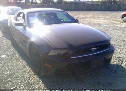 Vehicle Report for - Image 1