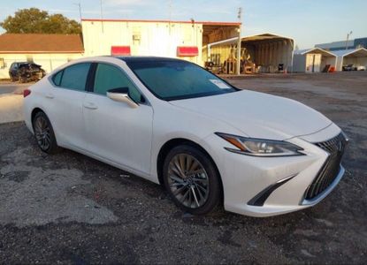 Vehicle Report for  - Image 1