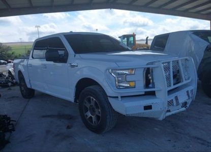 Vehicle Report for VIN 1FTEW1CG2HKD75097 - Image 1