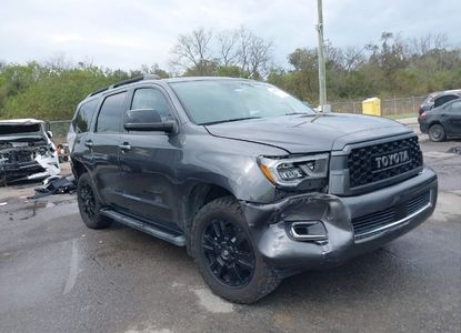 Raport pojazdu dla VIN 5TDBY5G11LS176148 - Obraz 1