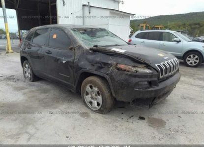 Raport vehicul pentru - Imaginea 1