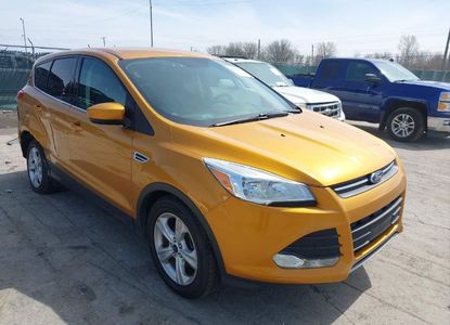 Vehicle Report for VIN 1FMCU0GX8GUA06518 - Image 1