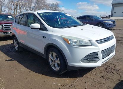 Raport pojazdu dla VIN 1FMCU9GX5FUB15747 - Obraz 1