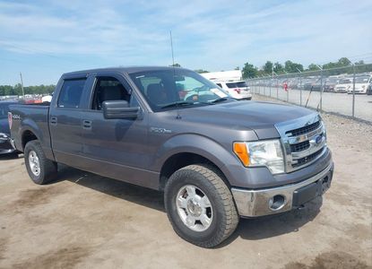 Vehicle Report for - Image 1
