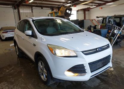 Vehicle Report for VIN 1FMCU0G74FUA44391 - Image 1