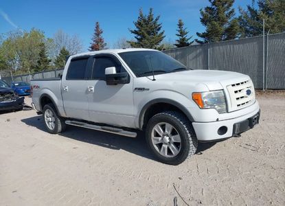 Vehicle Report for VIN 1FTPW14V49FA06144 - Image 1