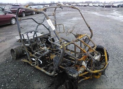 Raport pojazdu dla VIN 5Y4AM91Y3GA102468 - Obraz 1