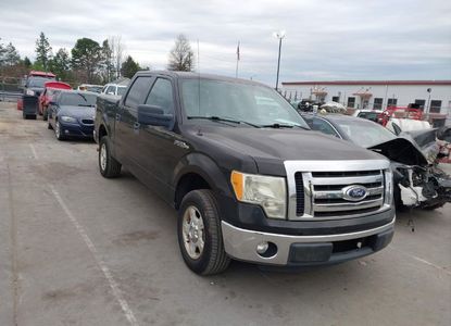 Vehicle Report for VIN 1FTEW1CM5BFB03715 - Image 1