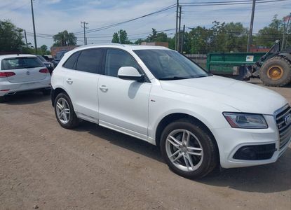 Vehicle Report for - Image 1