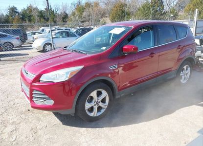 Vehicle Report for VIN 1FMCU0GXXEUB04401 - Image 1