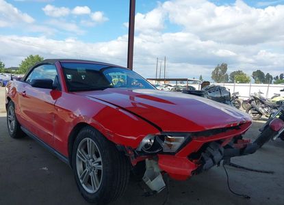 Vehicle Report for - Image 1