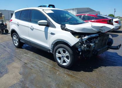 Vehicle Report for VIN 1FMCU0GXXDUD32039 - Image 1