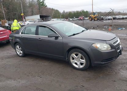 Vehicle Report for - Image 1
