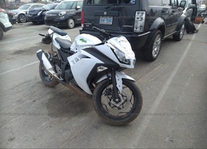Raport vehicul pentru - Imaginea 1