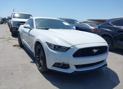 Raport pojazdu dla VIN 1FA6P8TH0G5336238 - Obraz 1