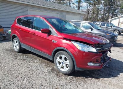 Vehicle Report for VIN 1FMCU0G7XGUC54124 - Image 1