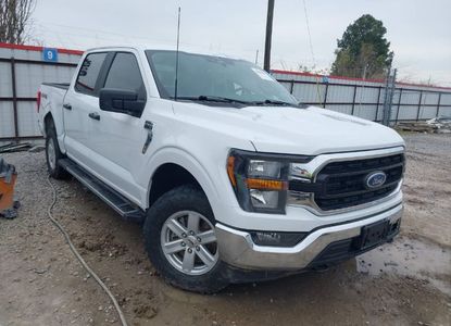 Raport pojazdu dla VIN 1FTFW1E88PFA22946 - Obraz 1