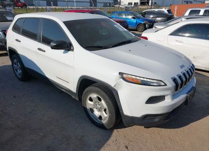 Raport vehicul pentru  - Imaginea 1