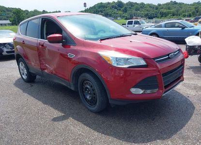 Vehicle Report for VIN 1FMCU0GX6GUA60464 - Image 1