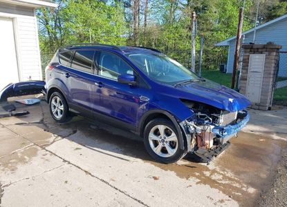 Raport pojazdu dla VIN 1FMCU9GX2GUB45080 - Obraz 1