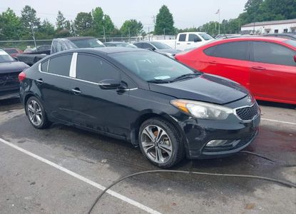 Vehicle Report for VIN KNAFZ4A88E5159819 - Image 1