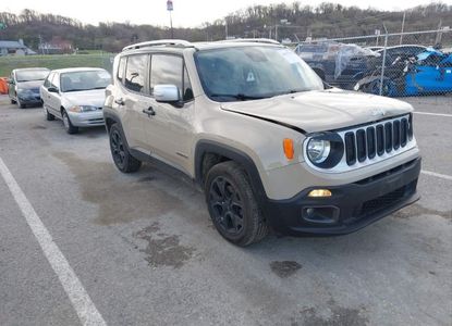 Raport pojazdu dla VIN ZACCJADTXGPC74363 - Obraz 1