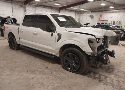 Raport pojazdu dla VIN 1FTFW1E51MFC25971 - Obraz 1