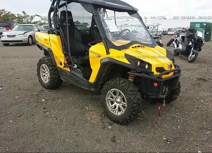 Vehicle Report for VIN 3JBKKCN14CJ000725 - Image 1