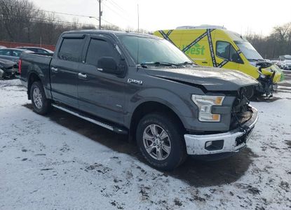 Raport pojazdu dla VIN 1FTEW1EP1GFB90754 - Obraz 1