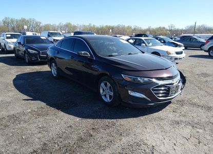 Vehicle Report for - Image 1