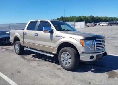 Vehicle Report for - Image 1