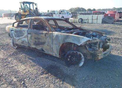 Vehicle Report for - Image 1