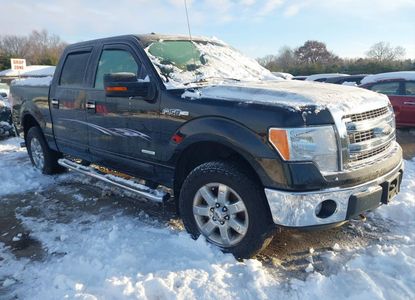 Vehicle Report for - Image 1